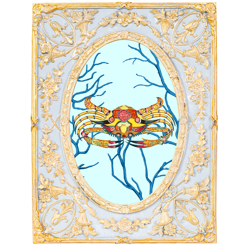 Картина в раме с золотым орнаментом Seashell Still Life 2 Мульти Золотой Голубой Картина в раме с золотым орнаментом Seashell Still Life 2 Мульти Золотой Голубой в Орле | Loft Concept