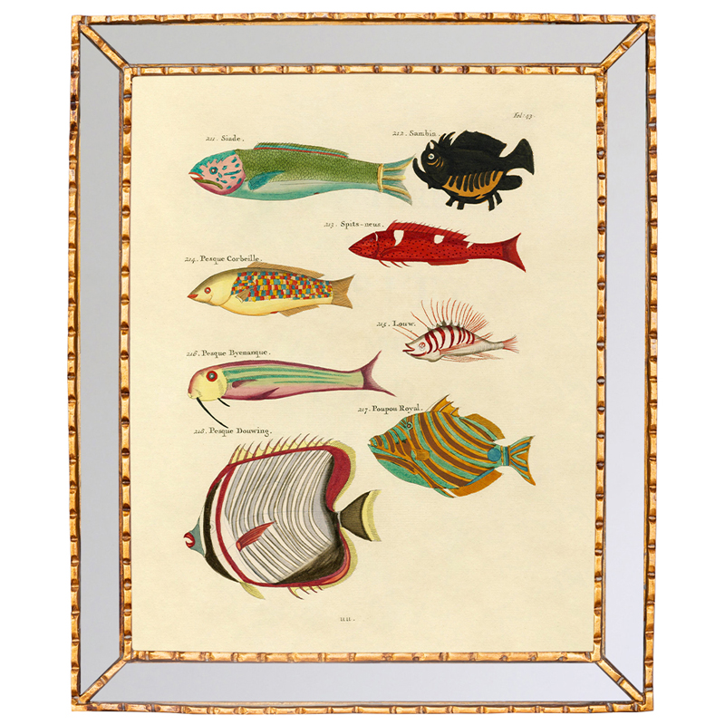 Постер в зеркальной раме Fish Guide 4 Мульти Золотой в Орле | Loft Concept 