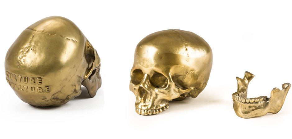 Статуэтка Seletti Wunderkrammer Human Skull Статуэтка Seletti Wunderkrammer Human Skull - Loft-Concept в Орле