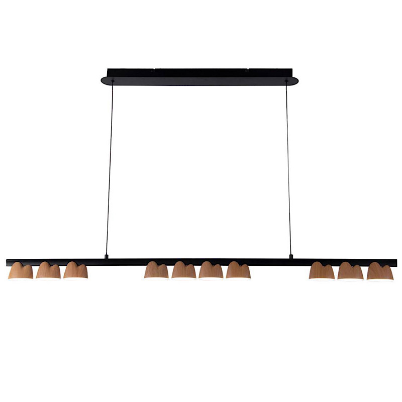 Люстра Collection Wooden Eco Light 135 Черный матовый Прозрачный в Орле | Loft Concept 