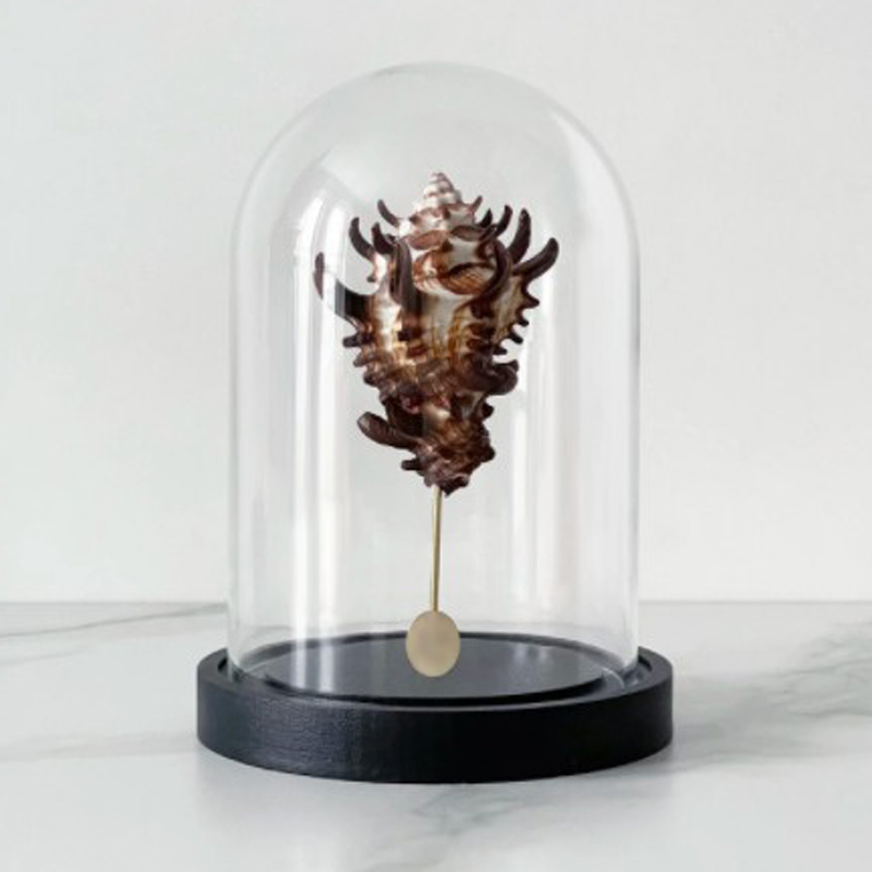 Статуэтка Vasum Tubiferum Glass Cloche Статуэтка Vasum Tubiferum Glass Cloche в Орле | Loft Concept