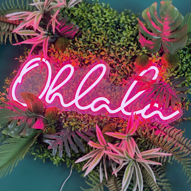 Неоновая настенная лампа Oh La La Neon Wall Lamp Розовый Розовый Прозрачный Неоновая настенная лампа Oh La La Neon Wall Lamp Розовый Розовый Прозрачный в Орле | Loft Concept