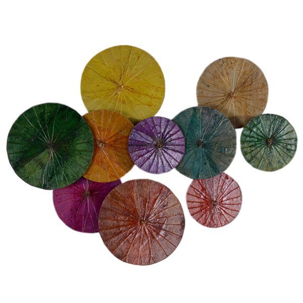 Арт-объект Disc wall art Lotus leaves Мульти Арт-объект Disc wall art Lotus leaves Мульти в Орле | Loft Concept