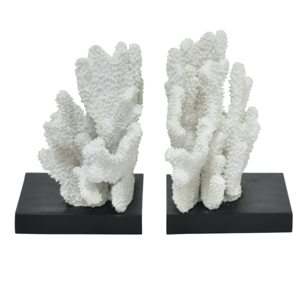 Держатели для книг White Coral Белый Держатели для книг White Coral Белый в Орле | Loft Concept