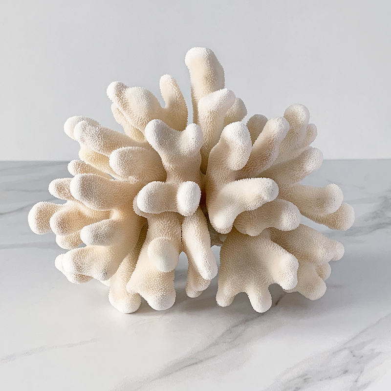 Статуэтка Elkhorn Coral Статуэтка Elkhorn Coral в Орле | Loft Concept