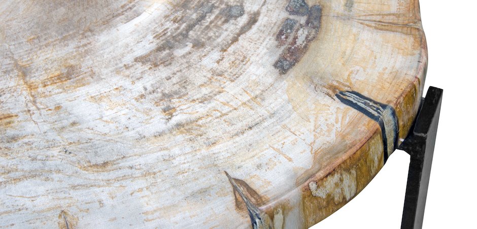 PETRIFIED WOOD COFFEETABLE M Окаменелое дерево PETRIFIED WOOD COFFEETABLE M Окаменелое дерево - Loft-Concept в Орле