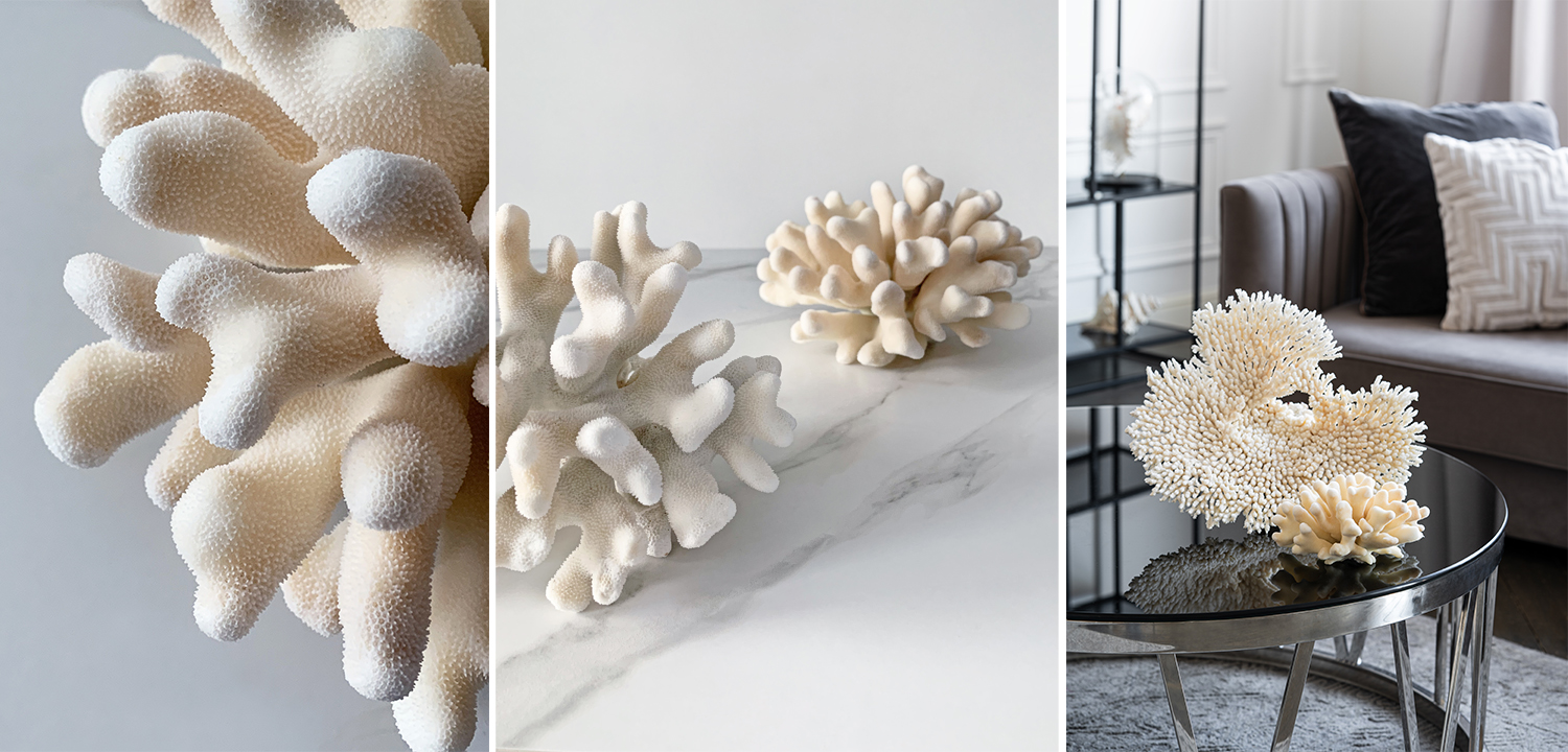 Статуэтка Elkhorn Coral - фото