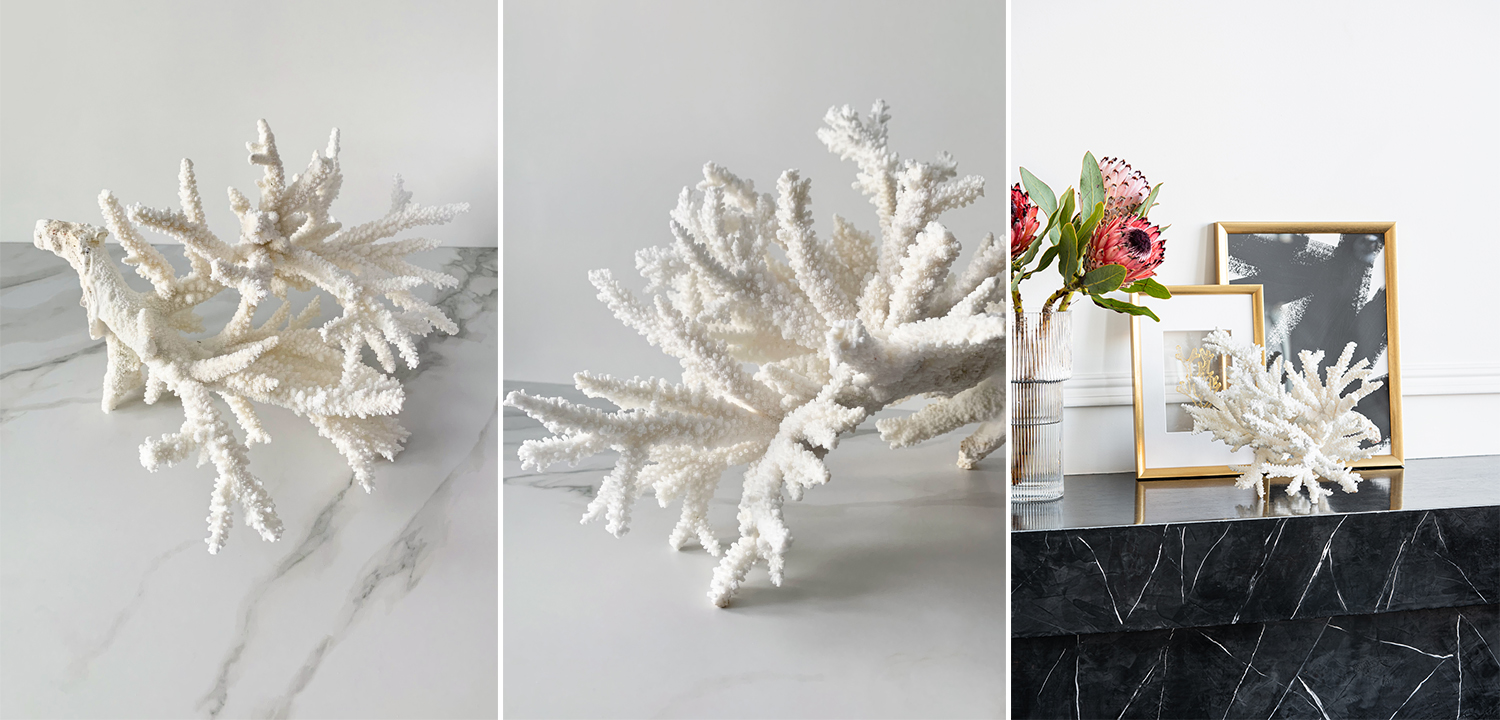 Статуэтка Branch L Coral - фото