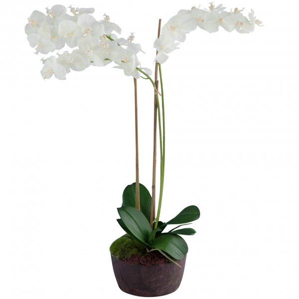 Декоративный искусственный цветок Orchid  в Орле | Loft Concept 