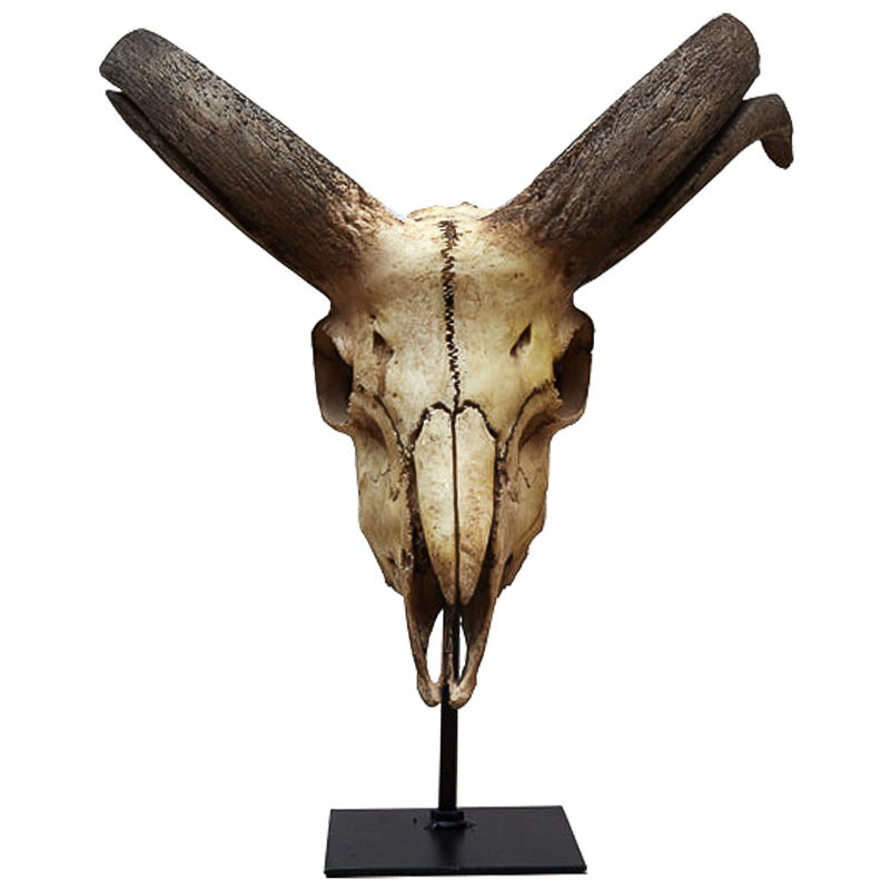 Аксессуар Goat Skull Бежевый Коричневый Черный Аксессуар Goat Skull Бежевый Коричневый Черный в Орле | Loft Concept