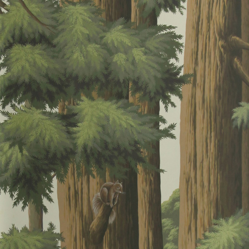 Обои ручная роспись Redwoods Colourway SC-281 on scenic paper Обои ручная роспись Redwoods Colourway SC-281 on scenic paper в Орле | Loft Concept