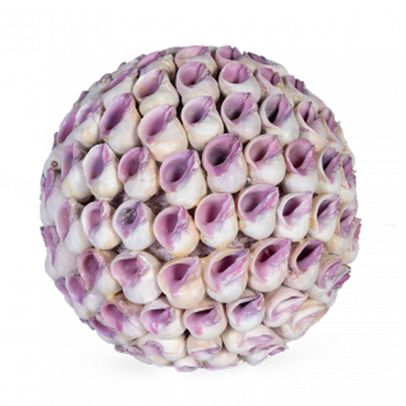 Статуэтка Coral Decor ball Коричневый Статуэтка Coral Decor ball Коричневый в Орле | Loft Concept