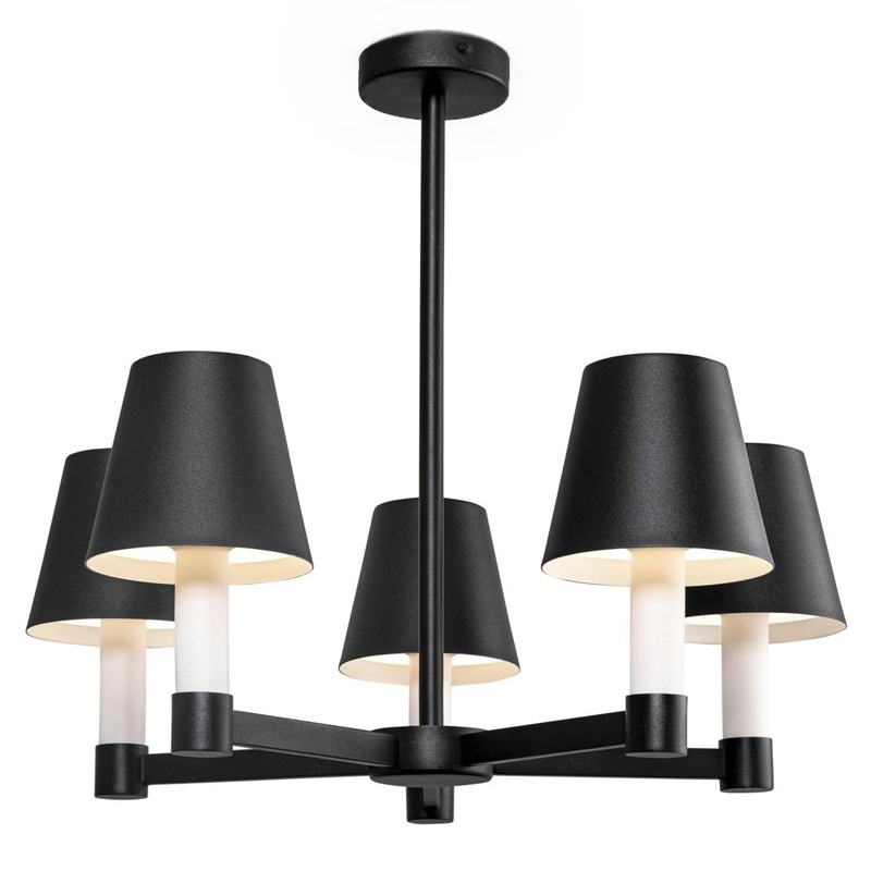 Люстра Eremon Chandelier 5 Черный Люстра Eremon Chandelier 5 Черный в Орле | Loft Concept