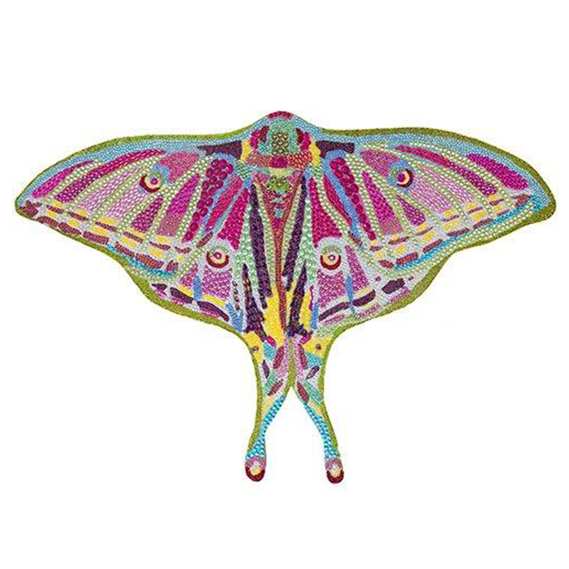 Картина “Spanish Moon Moth Butterfly Cut Out” Мульти в Орле | Loft Concept 