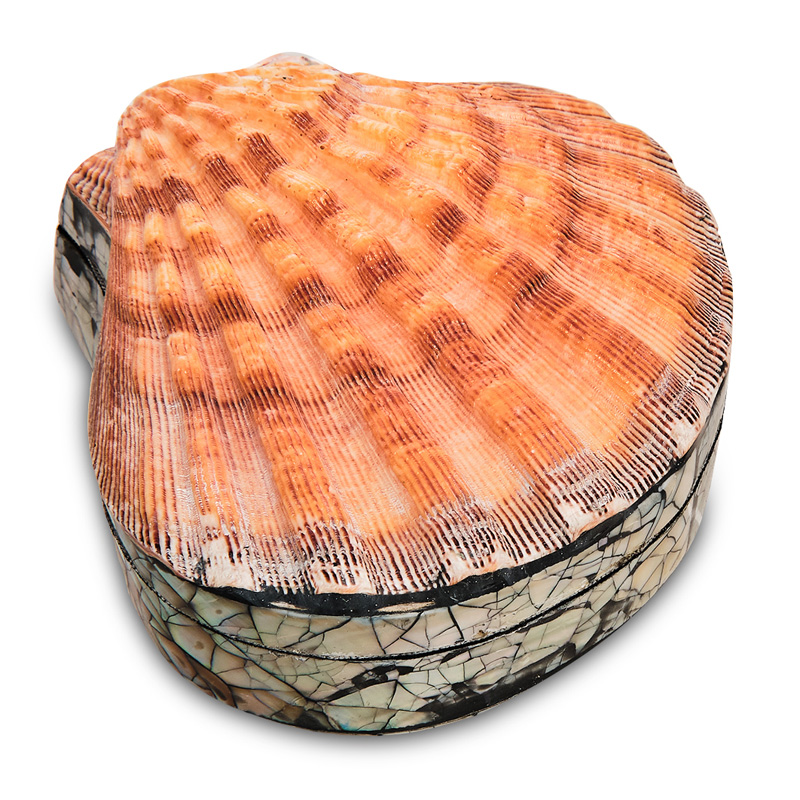 Шкатулка Shell Box II Коралловый Шкатулка Shell Box II Коралловый в Орле | Loft Concept