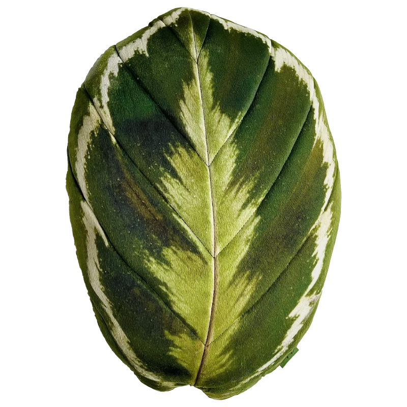 Декоративная подушка Botanical Cushion Calathea Medallion Зеленый Декоративная подушка Botanical Cushion Calathea Medallion Зеленый в Орле | Loft Concept