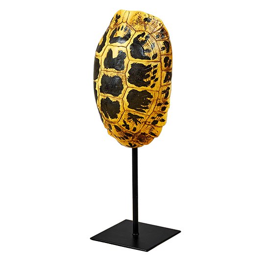 Статуэтка Yellow Tortoise Shell Черный Желтый Статуэтка Yellow Tortoise Shell Черный Желтый в Орле | Loft Concept