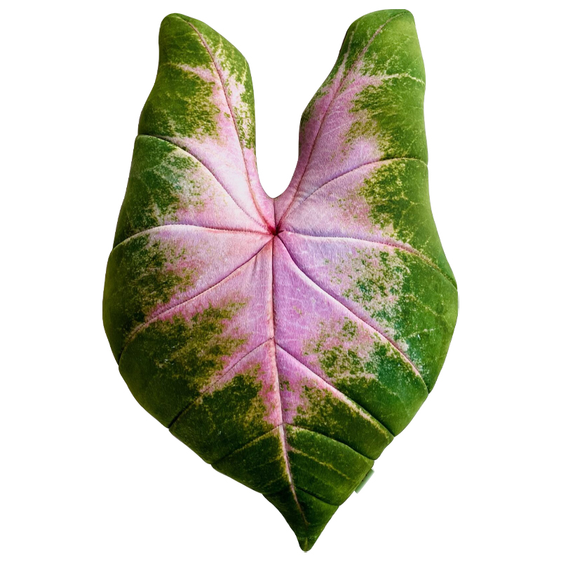 Декоративная подушка Botanical Cushion Caladium Bicolor Зеленый Розовый Декоративная подушка Botanical Cushion Caladium Bicolor Зеленый Розовый в Орле | Loft Concept