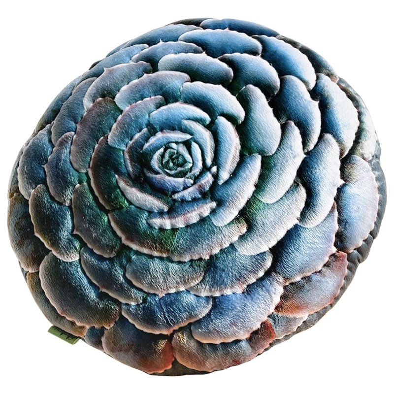 Декоративная подушка Botanical Cushion Succulentus Зеленый Зеленый шалфей Бирюзовый Декоративная подушка Botanical Cushion Succulentus Зеленый Зеленый шалфей Бирюзовый в Орле | Loft Concept