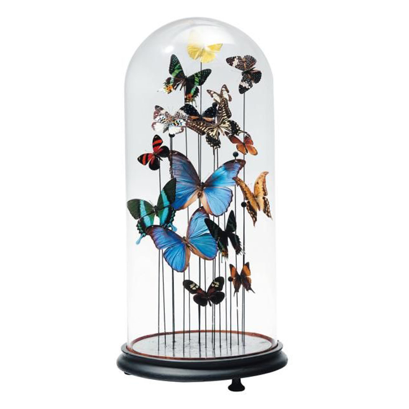 Статуэтка 15 Butterflies Glass Cloche Статуэтка 15 Butterflies Glass Cloche в Орле | Loft Concept