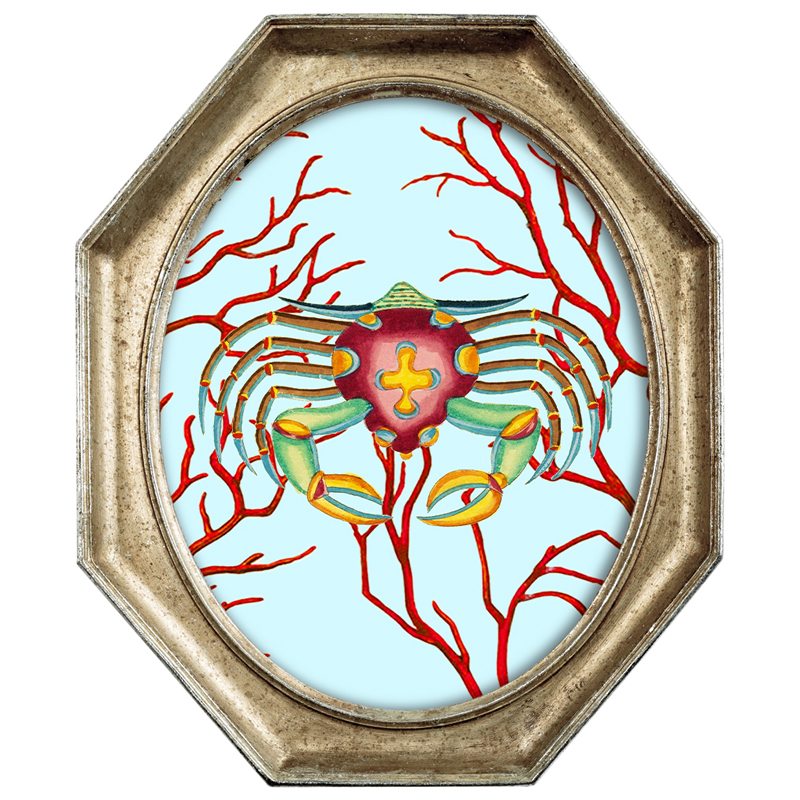 Картина Crab in Coral 2 Мульти Золотой Картина Crab in Coral 2 Мульти Золотой в Орле | Loft Concept