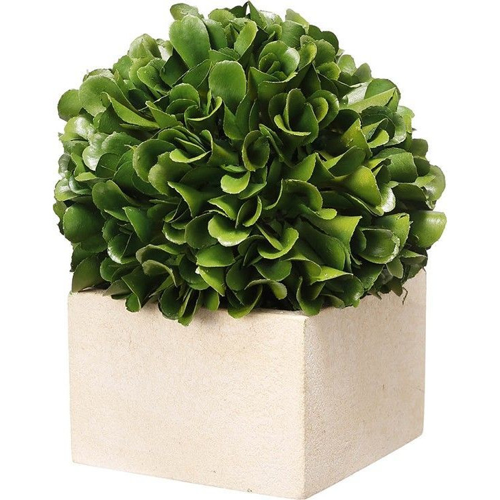 Декоративный искусственное растение Square boxwood Зеленый Бежевый Декоративный искусственное растение Square boxwood Зеленый Бежевый в Орле | Loft Concept