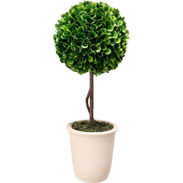 Декоративный искусственное растение Single boxwood Зеленый Бежевый Коричневый Декоративный искусственное растение Single boxwood Зеленый Бежевый Коричневый в Орле | Loft Concept