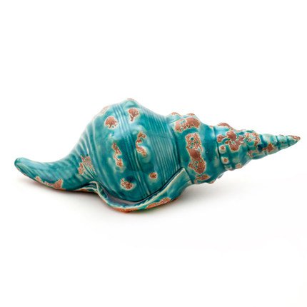 Ракушка Shell Turquoise #1 Бирюзовый Ракушка Shell Turquoise #1 Бирюзовый в Орле | Loft Concept