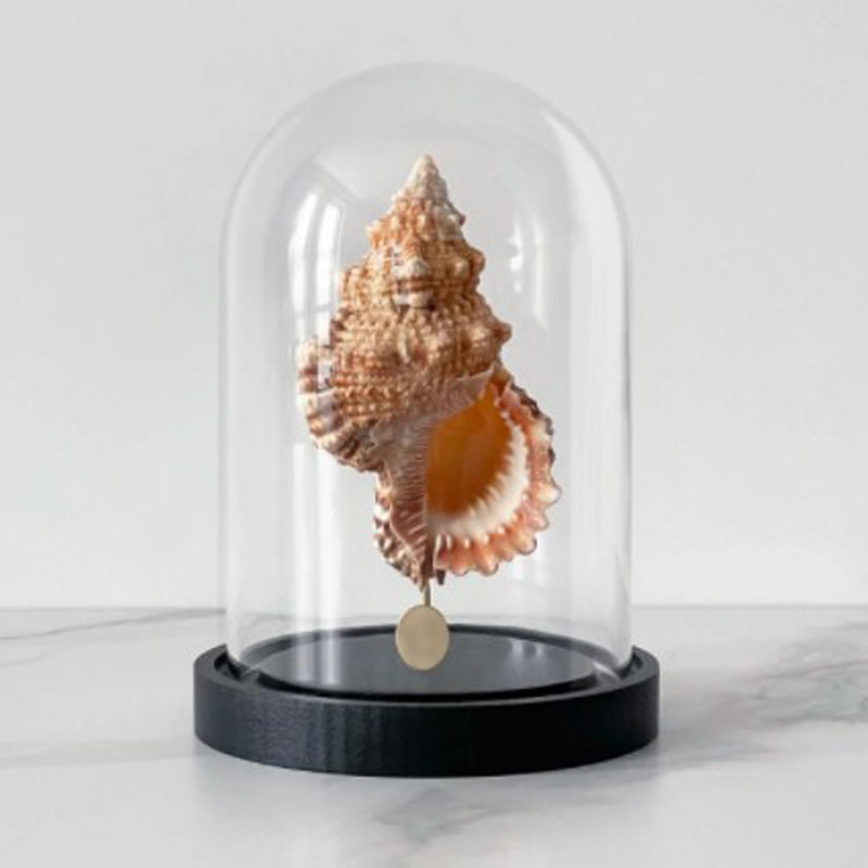 Статуэтка Bursa Rubeta Glass Cloche Статуэтка Bursa Rubeta Glass Cloche в Орле | Loft Concept
