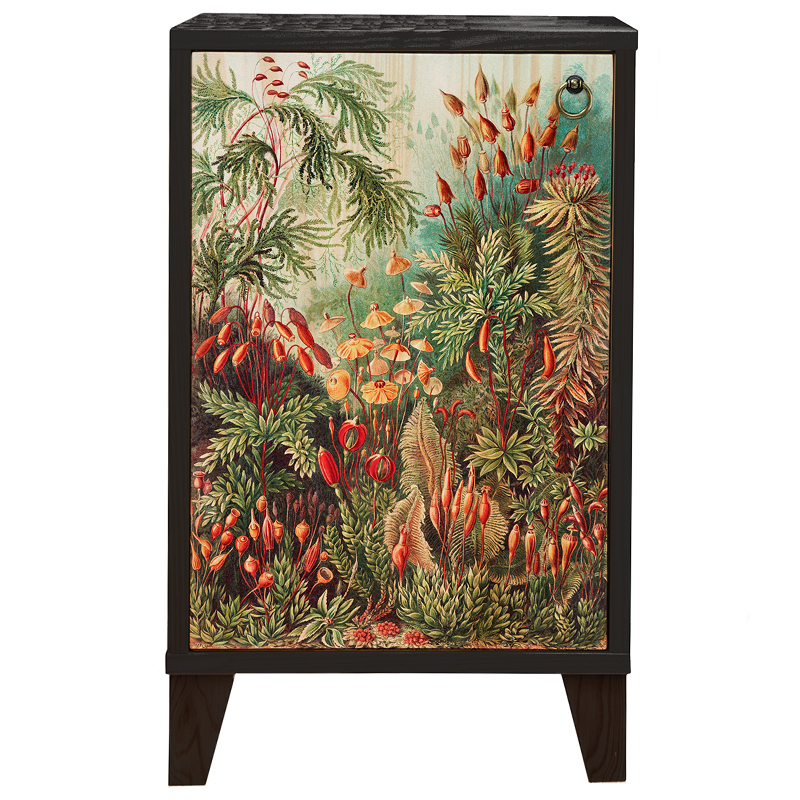 Тумба с цветочным изображением Floral Print Nighstand Черный Мульти Тумба с цветочным изображением Floral Print Nighstand Черный Мульти в Орле | Loft Concept
