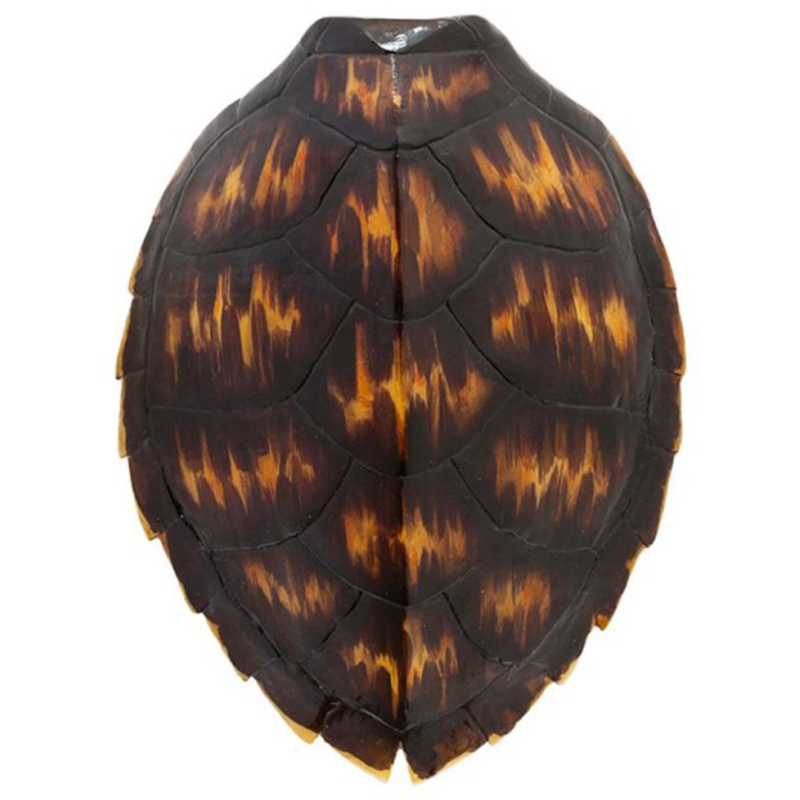 Аксессуар Turtle Shell Brown Orange Коричневый Оранжевый Аксессуар Turtle Shell Brown Orange Коричневый Оранжевый в Орле | Loft Concept