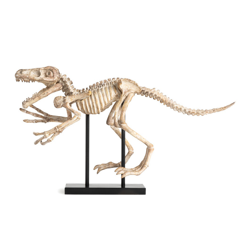 Статуэтка Dinosaur Skeleton big Бежево-серый Статуэтка Dinosaur Skeleton big Бежево-серый в Орле | Loft Concept