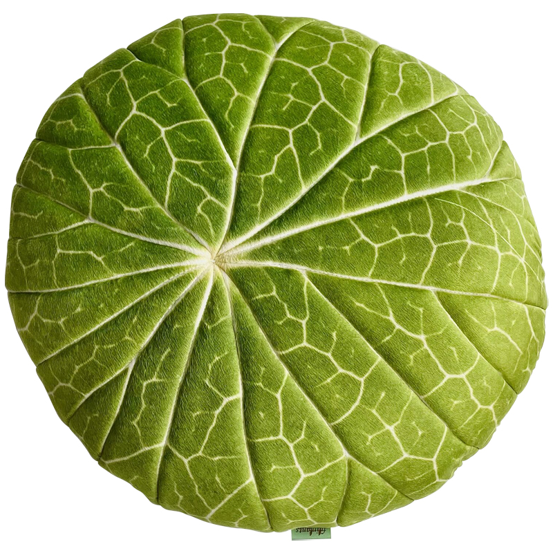 Декоративная подушка Botanical Cushion Stephania Erecta Зеленый Декоративная подушка Botanical Cushion Stephania Erecta Зеленый в Орле | Loft Concept