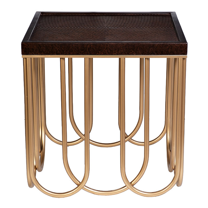 Приставной стол Cassel Side Table Дерево Табак Золотой Приставной стол Cassel Side Table Дерево Табак Золотой в Орле | Loft Concept