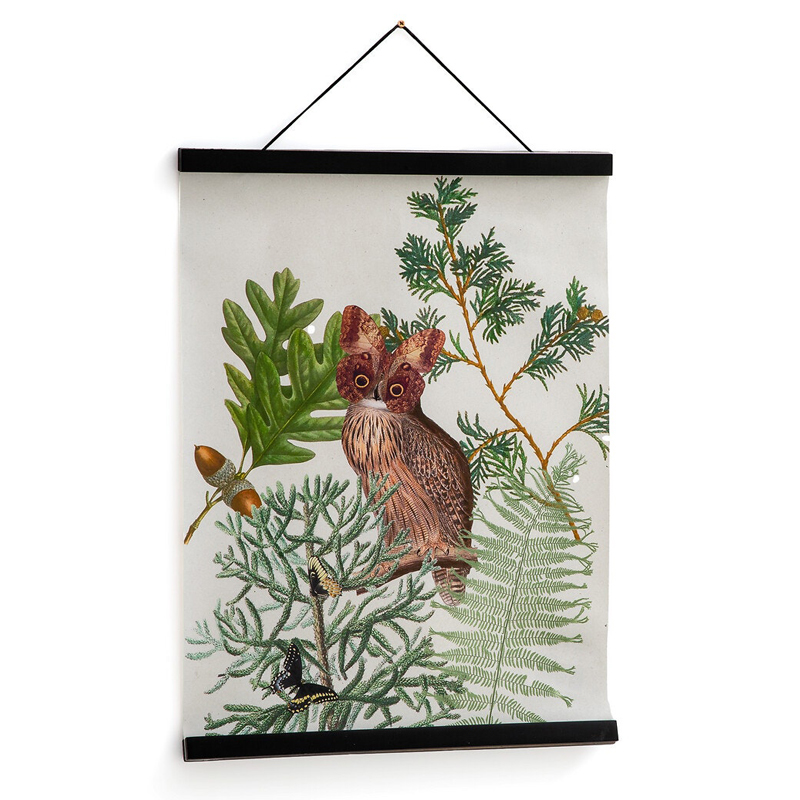 Постер Poster of Plants & Birds сова Мульти в Орле | Loft Concept 