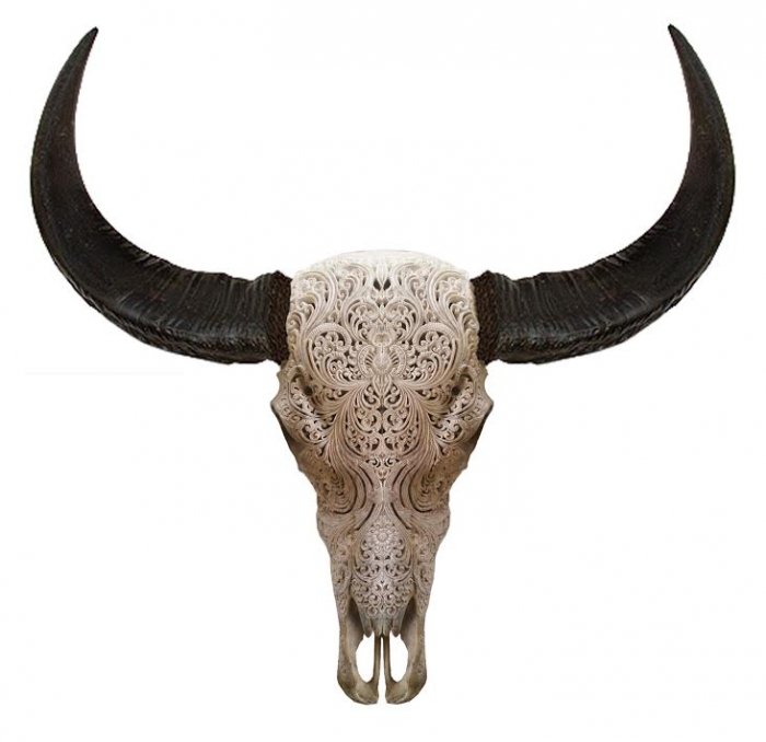 Череп буйвола с резьбой Buffalo Skull Tribal Carving Белый Череп буйвола с резьбой Buffalo Skull Tribal Carving Белый в Орле | Loft Concept