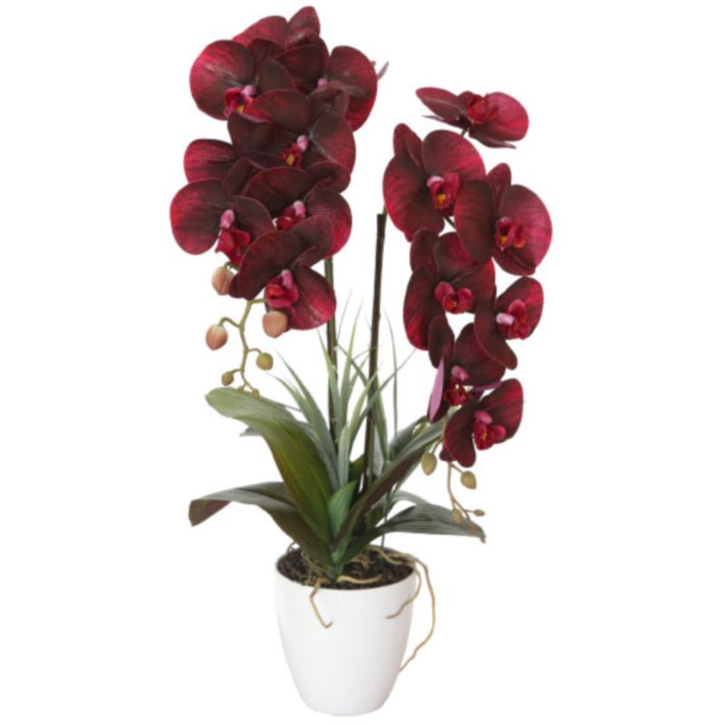 Искусственная орхидея Мультифлора burgundy Бордовый Искусственная орхидея Мультифлора burgundy Бордовый в Орле | Loft Concept