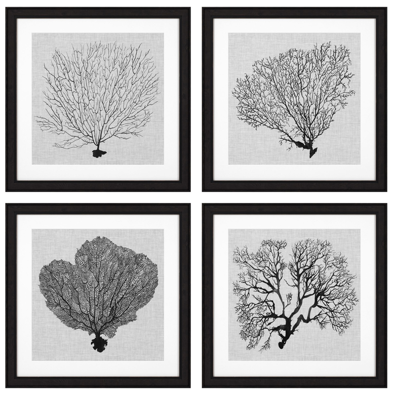 Комплект постеров Eichholtz Prints Shadow Sea Fans set of 4 Черный Черно-белый Комплект постеров Eichholtz Prints Shadow Sea Fans set of 4 Черный Черно-белый в Орле | Loft Concept