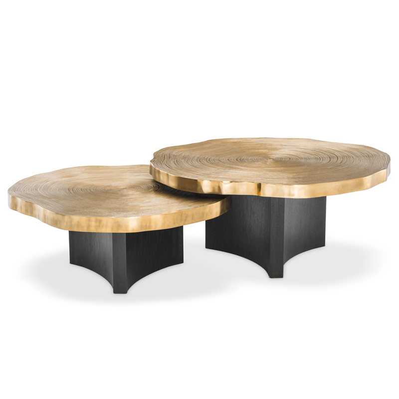 Комплект кофейных столов Eichholtz Coffee Table Thousand Oaks set of 2 Черный Латунь Комплект кофейных столов Eichholtz Coffee Table Thousand Oaks set of 2 Черный Латунь в Орле | Loft Concept
