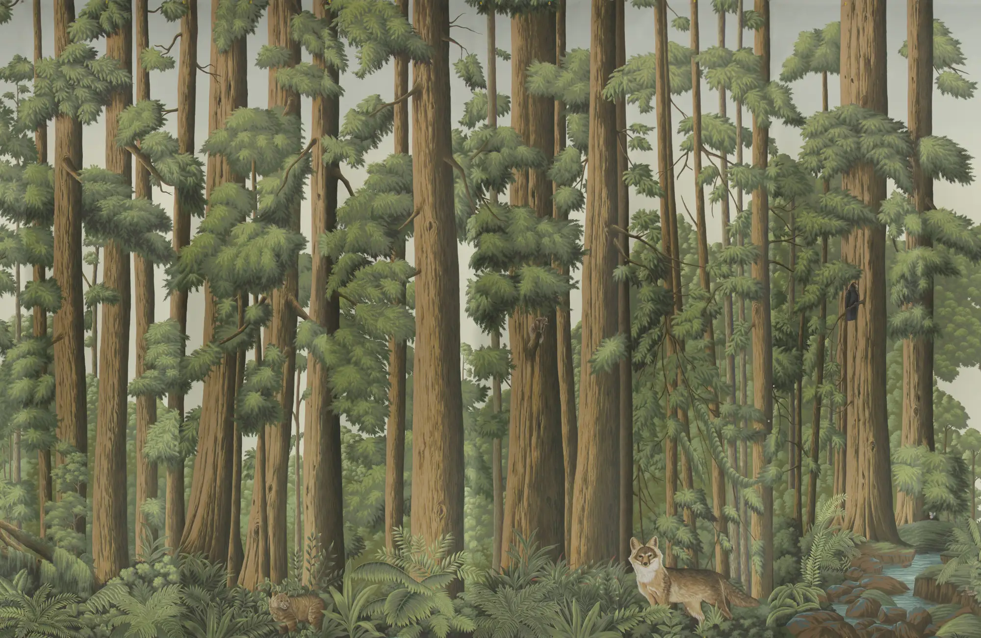 Обои ручная роспись Redwoods Colourway SC-281 on scenic paper Обои ручная роспись Redwoods Colourway SC-281 on scenic paper - постер Loft-Concept в Орле
