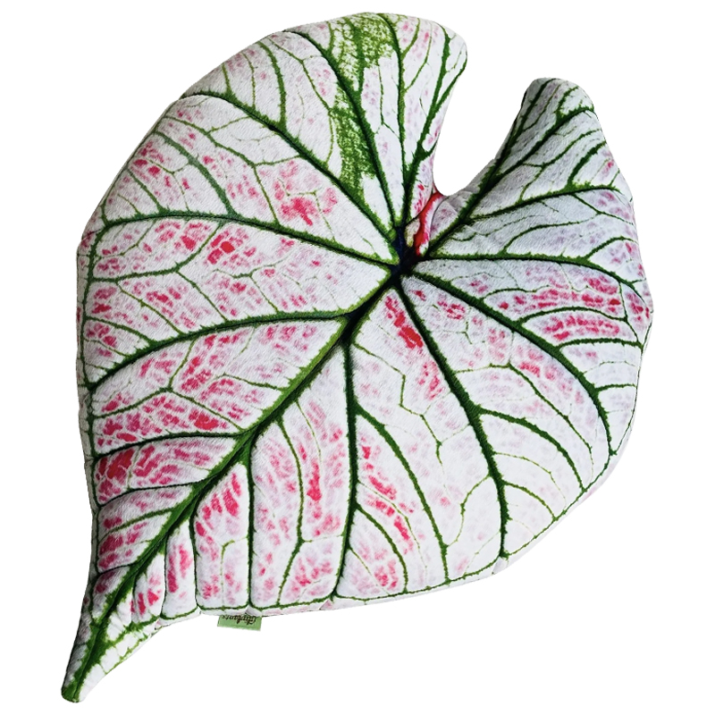 Декоративная подушка Botanical Cushion Caladium Rosebud Зеленый Бежевый Розовый Декоративная подушка Botanical Cushion Caladium Rosebud Зеленый Бежевый Розовый в Орле | Loft Concept