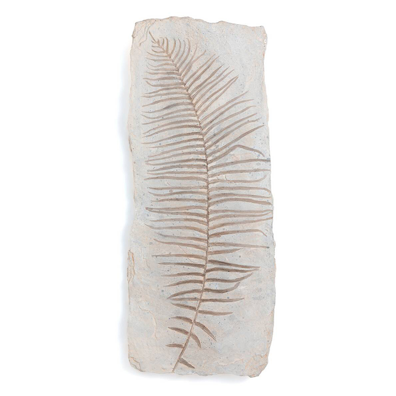 Аксессуар на стену Tropical Leaf Бежево-серый Аксессуар на стену Tropical Leaf Бежево-серый в Орле | Loft Concept