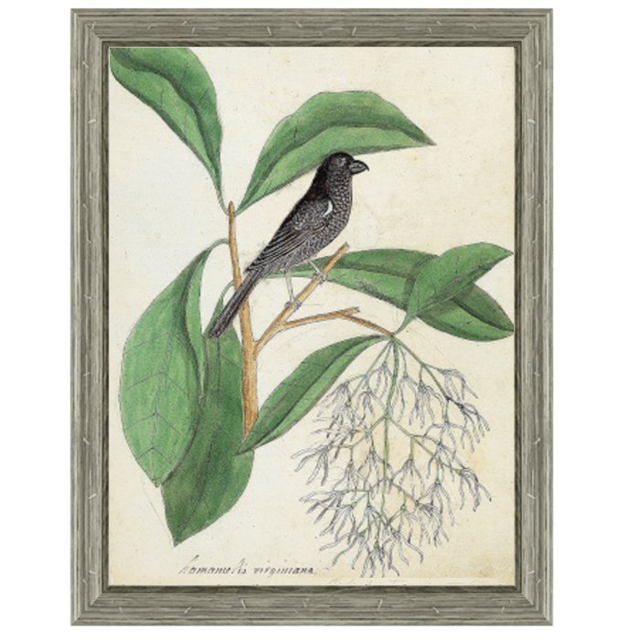 Постер Black Bird & White Flowers  в Орле | Loft Concept 