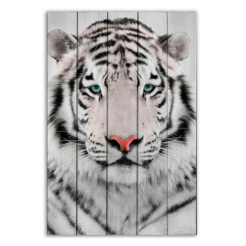 Постер White Tiger Постер White Tiger в Орле | Loft Concept