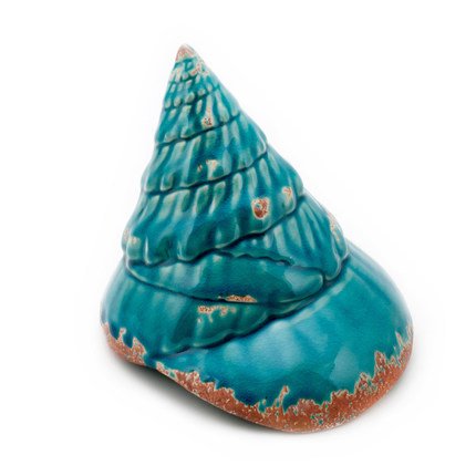 Ракушка Shell Turquoise #2 Бирюзовый Ракушка Shell Turquoise #2 Бирюзовый в Орле | Loft Concept