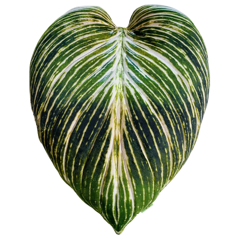 Декоративная подушка Botanical Cushion Philodendron Birkin Зеленый Салатовый Белый Декоративная подушка Botanical Cushion Philodendron Birkin Зеленый Салатовый Белый в Орле | Loft Concept
