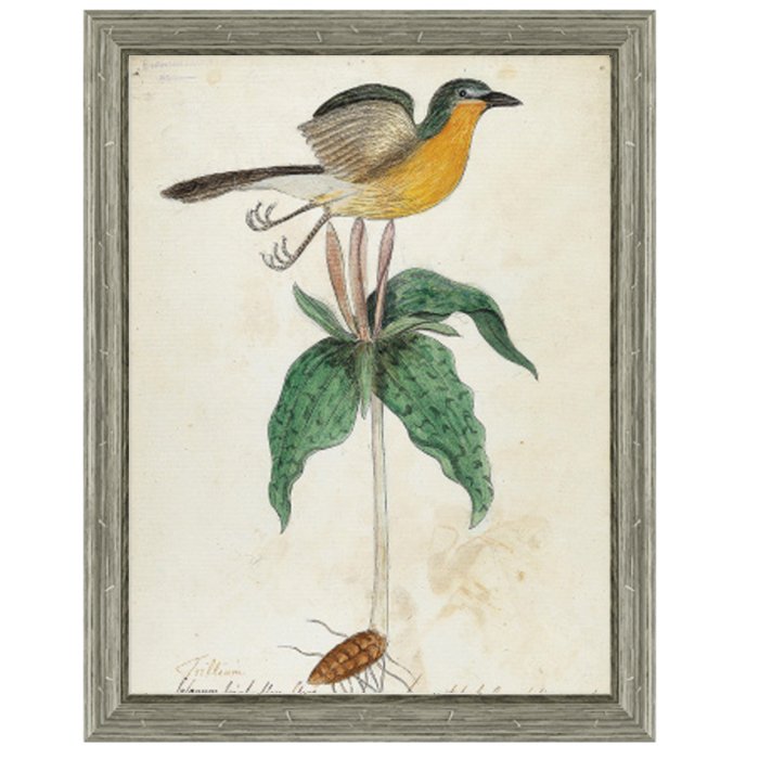 Постер Bird On Flower  в Орле | Loft Concept 