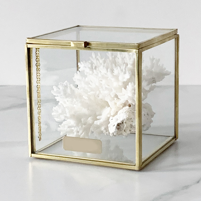 Статуэтка Natural Coral Glass Box S Статуэтка Natural Coral Glass Box S в Орле | Loft Concept