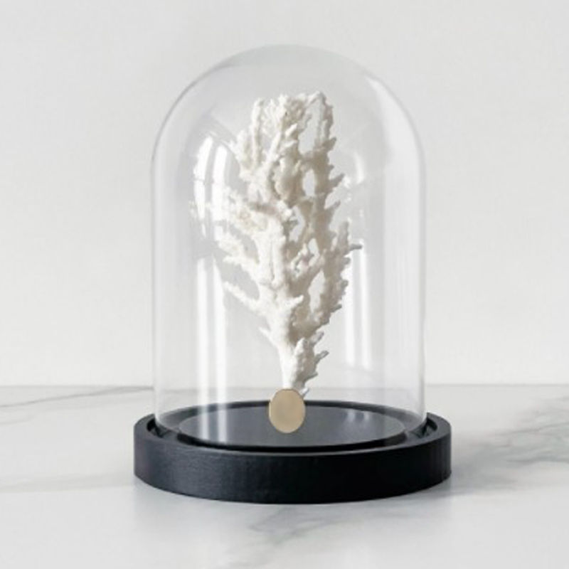 Статуэтка White Coral Glass Cloche Статуэтка White Coral Glass Cloche в Орле | Loft Concept