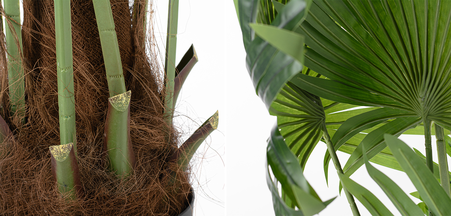 Декоративный искусственный цветок Livistona Plant 200 - фото